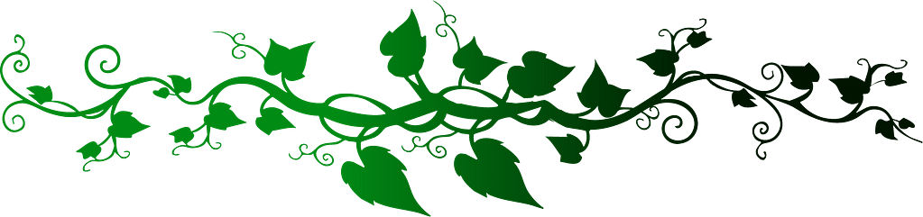 border leaves